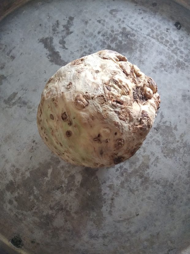 sedano rapa per foare delle deliziose scaloppine alla birra