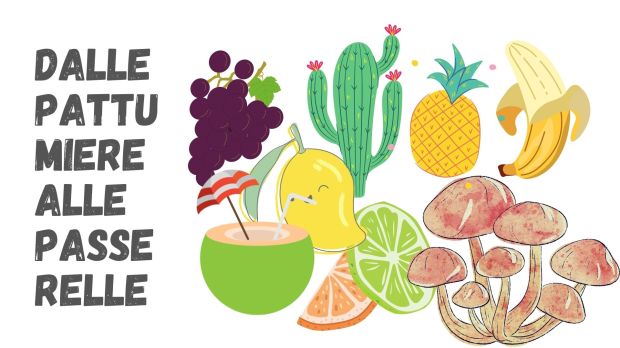Fruits Collage... Moda sostenibile: dagli scarti alimentari alle passerelle | ockstyle