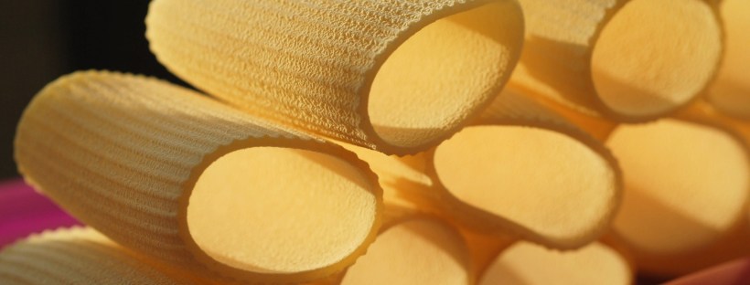 Dry pasta | Ridged Paccheri on a plate, at sunset | photo ©ockstyle