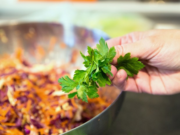 L'insalata coraggiosa (coleslaw salad) con il prezzemolo