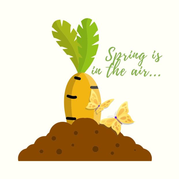 Primavera e Vignarola: Spring is in the air | Apriti Sedano! Marzo 2024