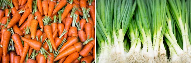 Mandu (Wonton) DUMPLING senza-glutine e plant-based (carote e cipollotti) [banner]