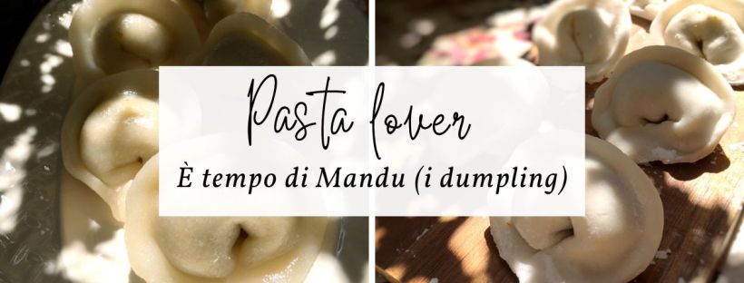Mandu (Wonton) DUMPLING senza-glutine e plant-based (cov) | Ricetta e foto © Orsola Ciriello Kogan
