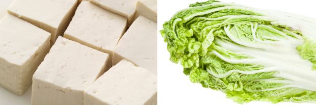 Mandu (Wonton) DUMPLING senza-glutine e plant-based (tofu e cavolo cinese) [banner]