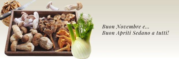 Apriti sedano! compie 1 anno: Buon compleanno!!! | Buon novembre e buon Apriti sedano a tutti!