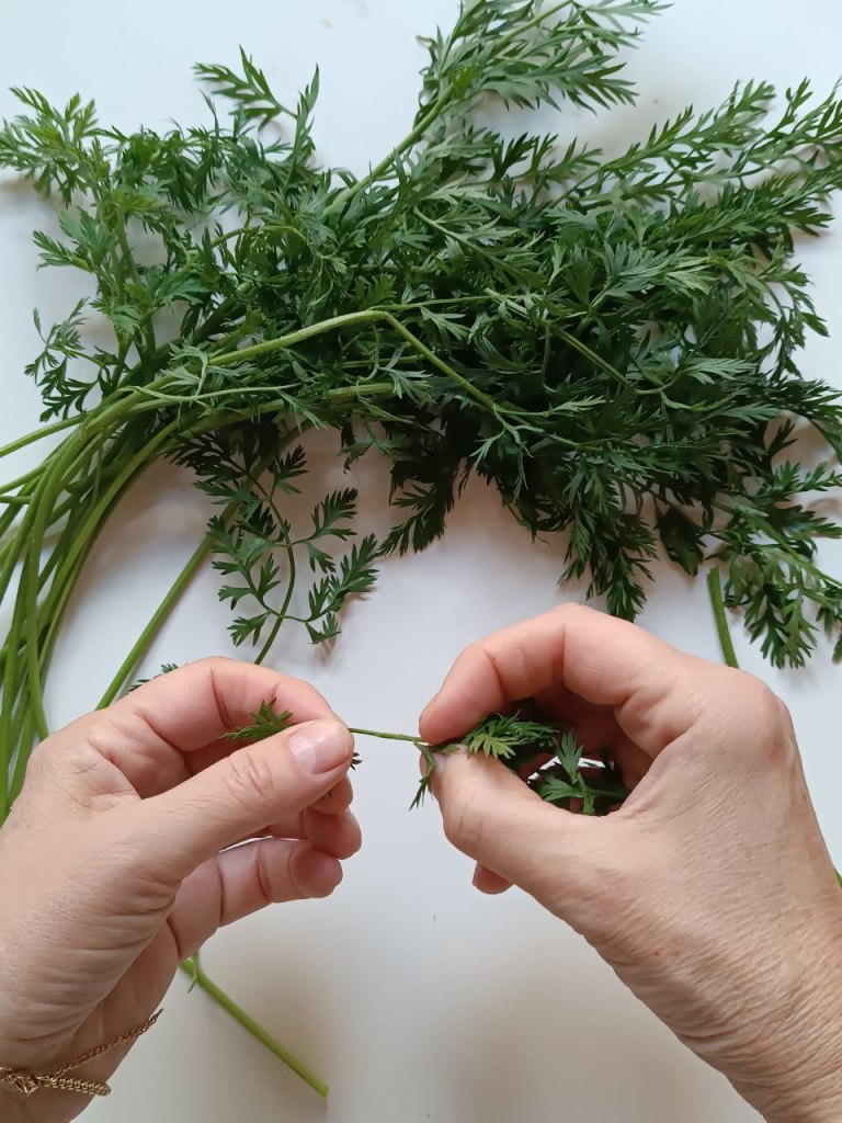 Come pulire le cime verdi delle carotine per il pesto di barbe di carota