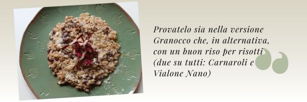 Primi vari: Risotto con farro monococco, porro e radicchio [banner 2] risotto impiattato