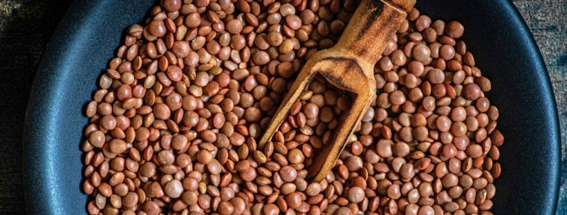 Come cucinare i legumi [cov] | ciotola di lenticchie classiche