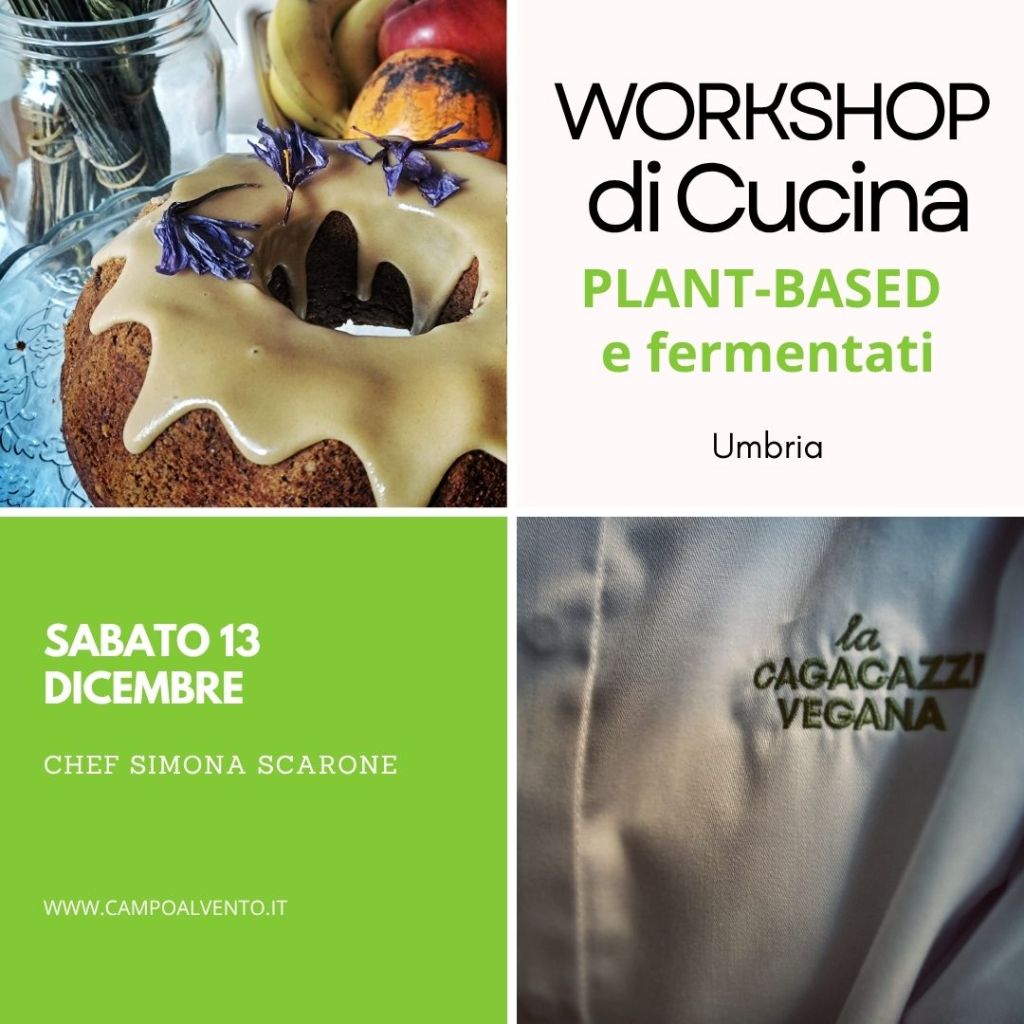 Campo Al Vento, sabato 13 dicembre - copertina