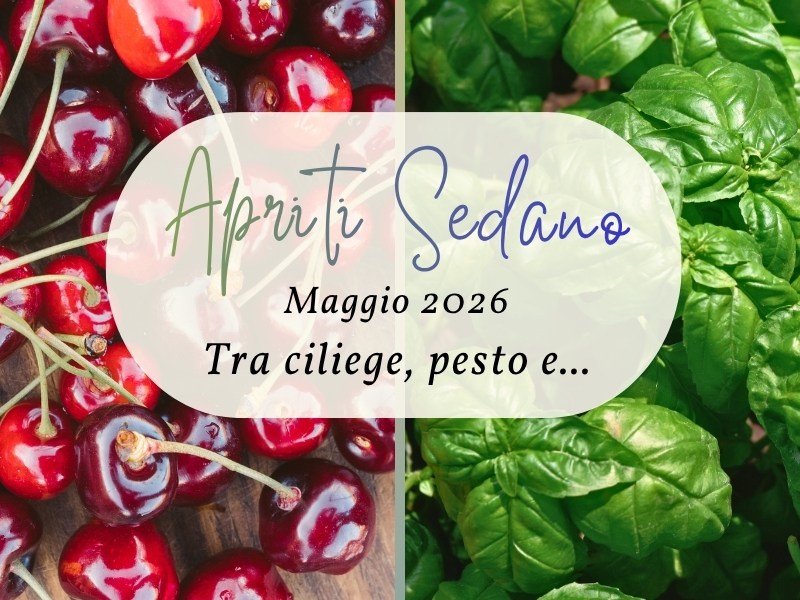 Affrettarsi senza fretta… Apriti&nbsp;Sedano!